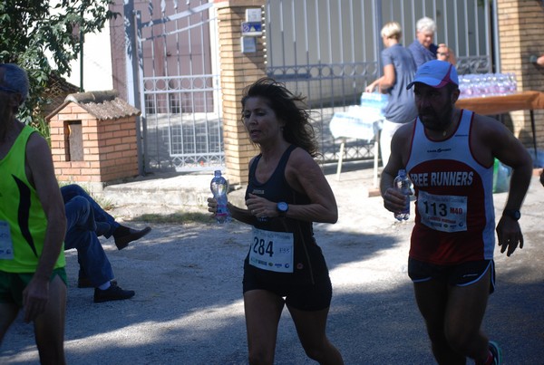 Trofeo delle Sette Contrade  (C.E.) (01/09/2013) 00077
