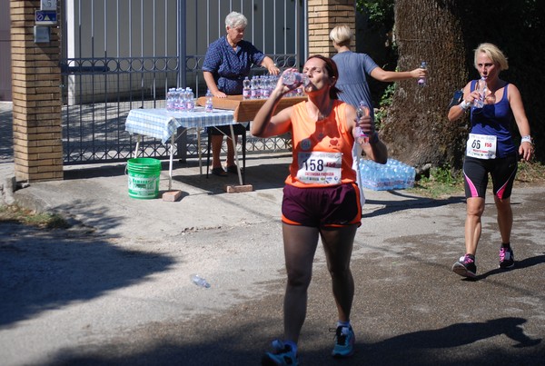 Trofeo delle Sette Contrade  (C.E.) (01/09/2013) 00122
