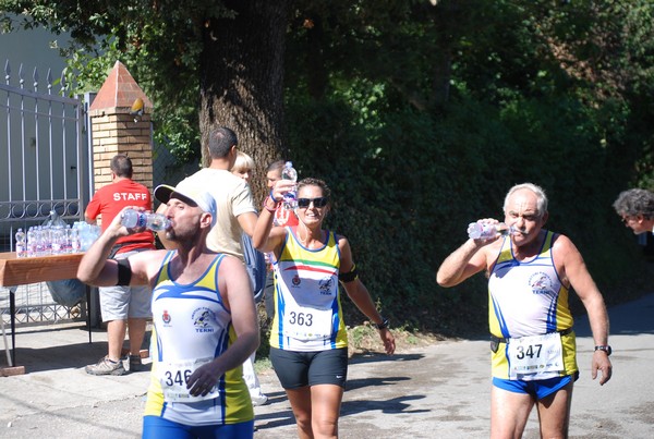 Trofeo delle Sette Contrade  (C.E.) (01/09/2013) 00135