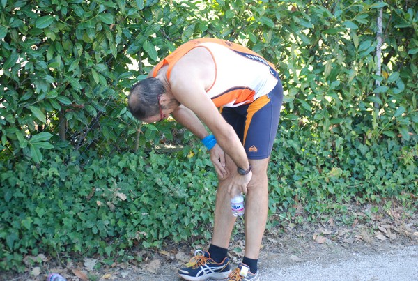 Trofeo delle Sette Contrade  (C.E.) (01/09/2013) 00143