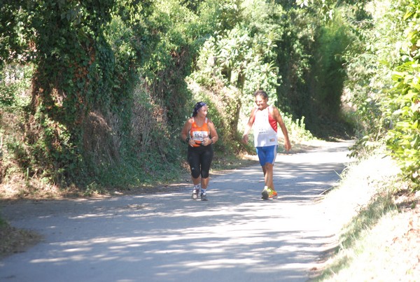 Trofeo delle Sette Contrade  (C.E.) (01/09/2013) 00169