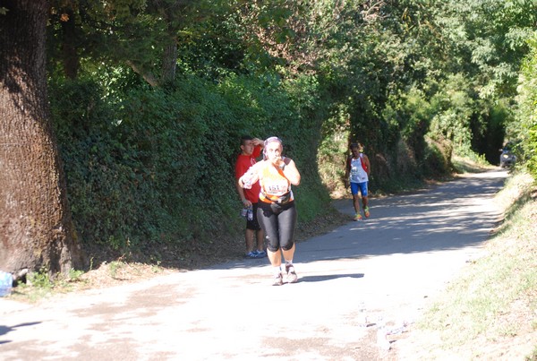 Trofeo delle Sette Contrade  (C.E.) (01/09/2013) 00173