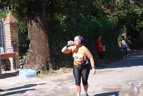 Trofeo delle Sette Contrade  (C.E.) (01/09/2013) 00176