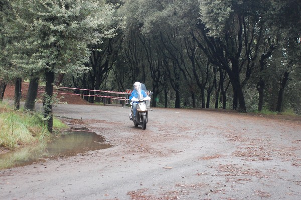 RUNAID's (24/11/2013) 00002