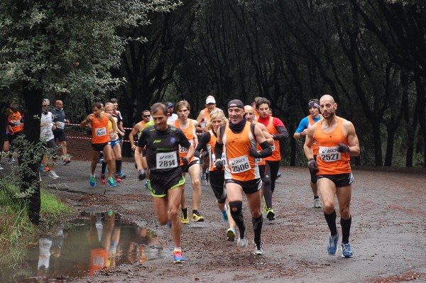 RUNAID's (24/11/2013) 00004