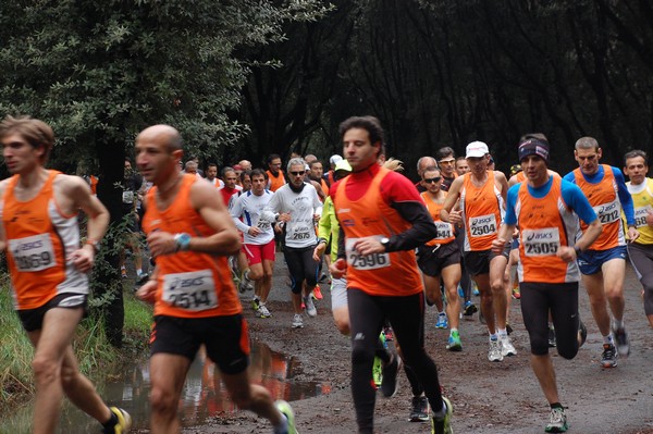 RUNAID's (24/11/2013) 00005