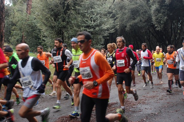 RUNAID's (24/11/2013) 00009