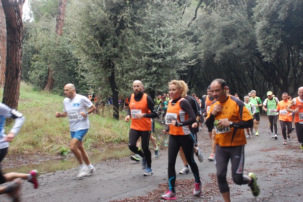RUNAID's (24/11/2013) 00011