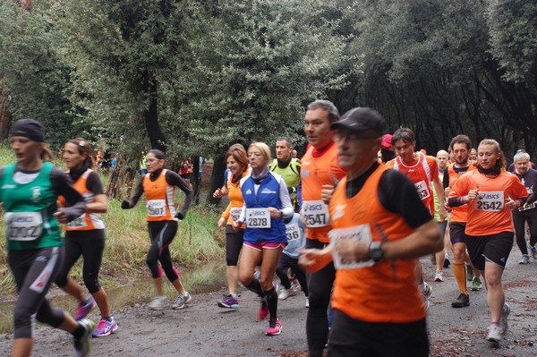 RUNAID's (24/11/2013) 00013