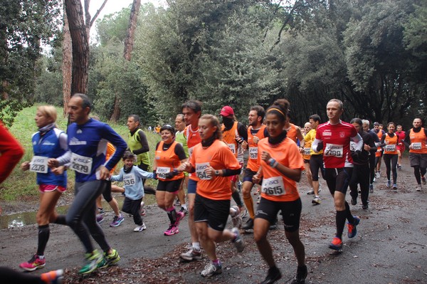 RUNAID's (24/11/2013) 00014