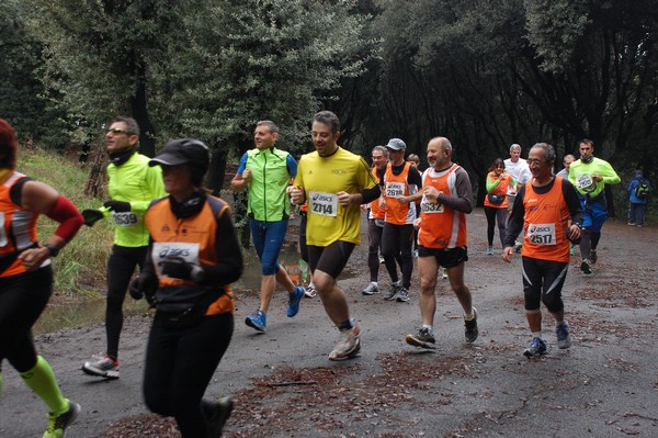 RUNAID's (24/11/2013) 00019