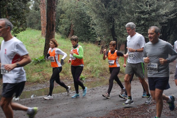 RUNAID's (24/11/2013) 00020