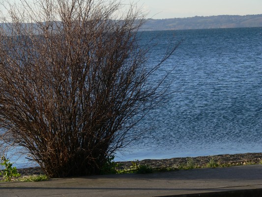 Giro del Lago di Bracciano (10/02/2013) 010