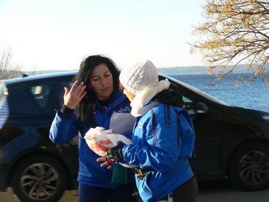 Giro del Lago di Bracciano (10/02/2013) 018