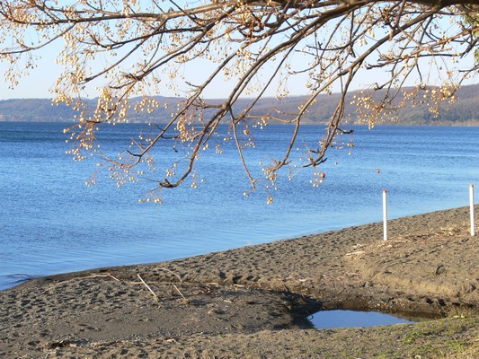 Giro del Lago di Bracciano (10/02/2013) 023
