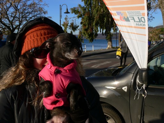 Giro del Lago di Bracciano (10/02/2013) 027