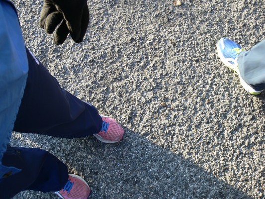Giro del Lago di Bracciano (10/02/2013) 046