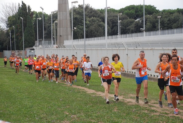 Trofeo Podistica Solidarietà (29/09/2013) 00016