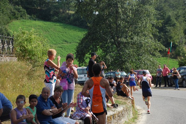 Amatrice Configno (C.E.) (24/08/2013) 00022