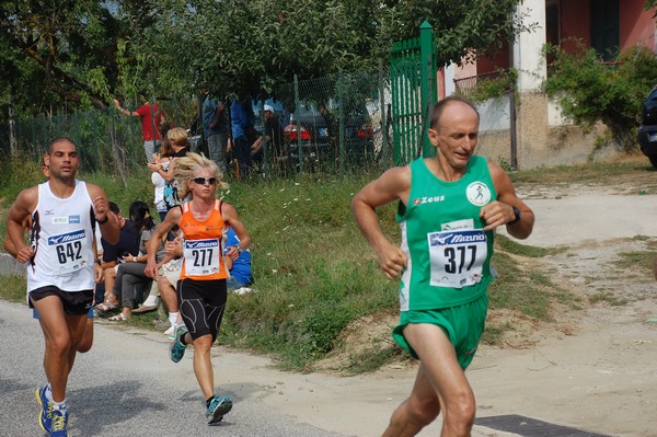 Amatrice Configno (C.E.) (24/08/2013) 00026