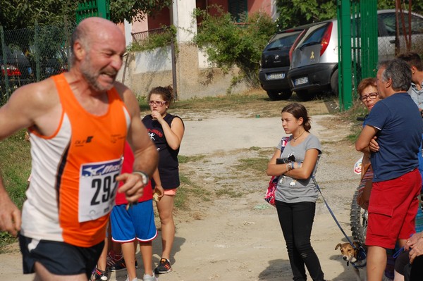 Amatrice Configno (C.E.) (24/08/2013) 00089