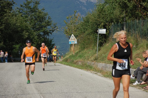 Amatrice Configno (C.E.) (24/08/2013) 00149