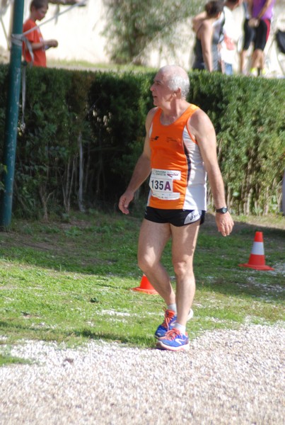 Maratona di Roma a Staffetta (19/10/2013) 00140
