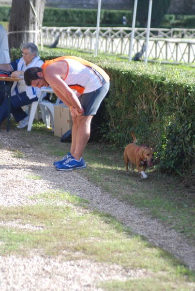 Maratona di Roma a Staffetta (19/10/2013) 00185