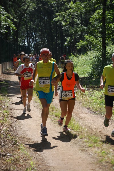 Trofeo Città di Nettuno (02/06/2013) 00015