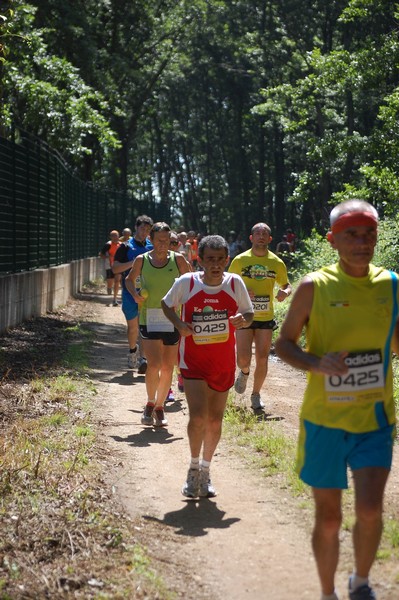 Trofeo Città di Nettuno (02/06/2013) 00016