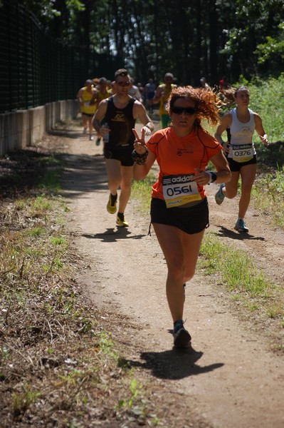 Trofeo Città di Nettuno (02/06/2013) 00074