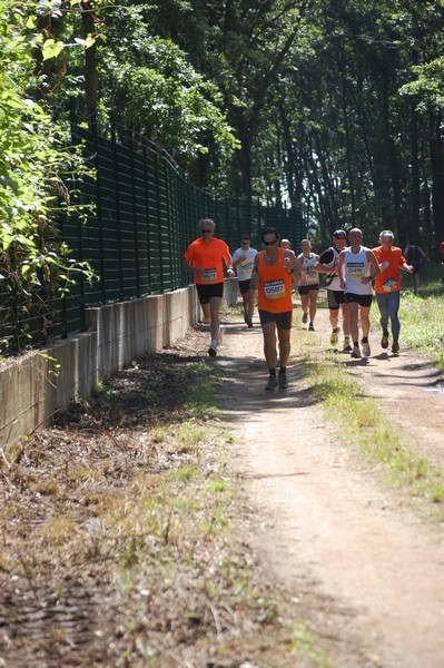 Trofeo Città di Nettuno (02/06/2013) 00095