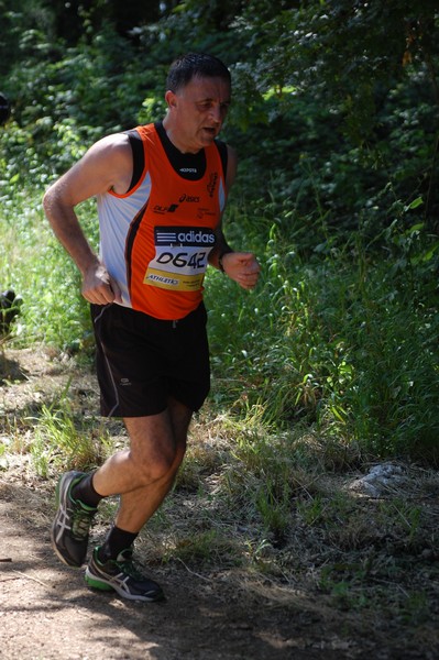 Trofeo Città di Nettuno (02/06/2013) 00114