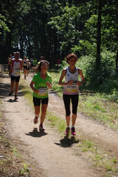 Trofeo Città di Nettuno (02/06/2013) 00116