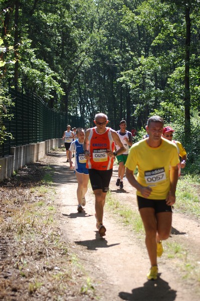 Trofeo Città di Nettuno (02/06/2013) 00130