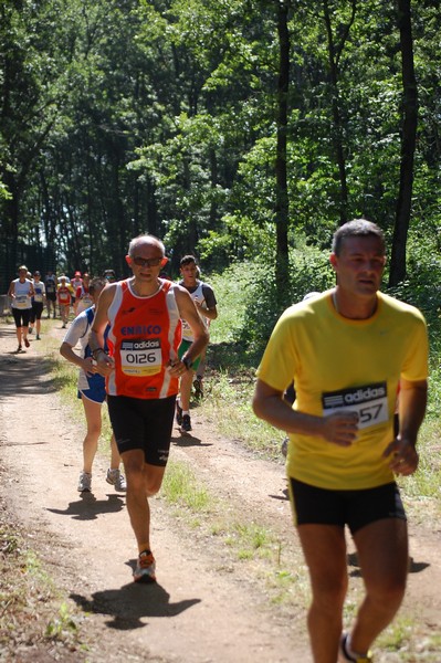 Trofeo Città di Nettuno (02/06/2013) 00132