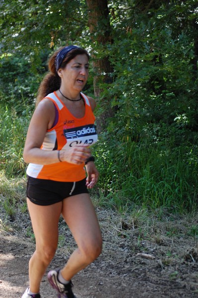 Trofeo Città di Nettuno (02/06/2013) 00140