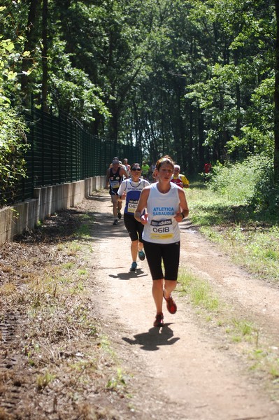 Trofeo Città di Nettuno (02/06/2013) 00142