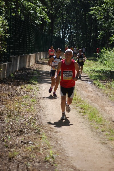 Trofeo Città di Nettuno (02/06/2013) 00151