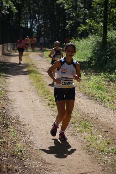 Trofeo Città di Nettuno (02/06/2013) 00155