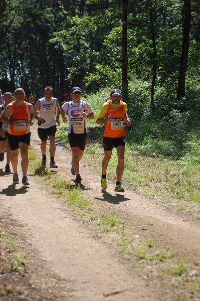 Trofeo Città di Nettuno (02/06/2013) 00166
