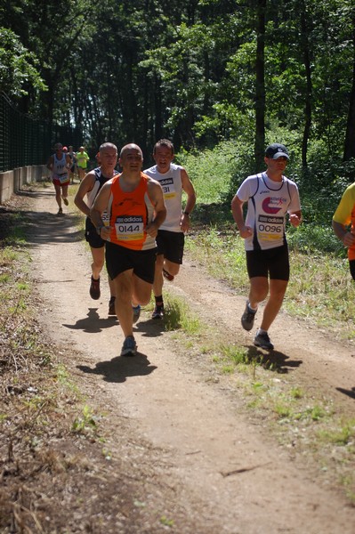 Trofeo Città di Nettuno (02/06/2013) 00169