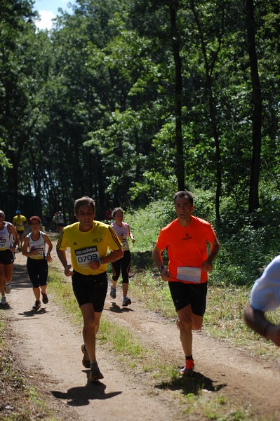 Trofeo Città di Nettuno (02/06/2013) 00218