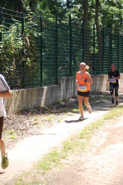 Trofeo Città di Nettuno (02/06/2013) 00246