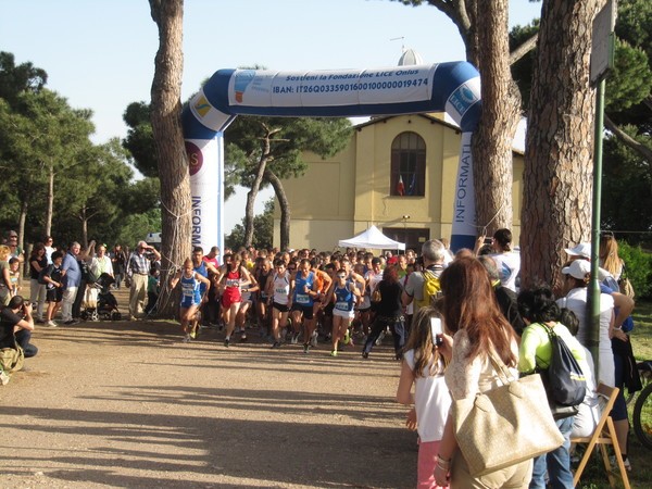 MaratoLice (04/05/2013) 00007