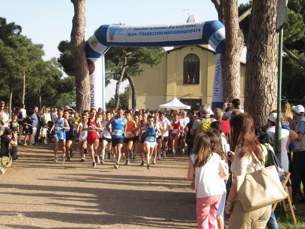 MaratoLice (04/05/2013) 00008