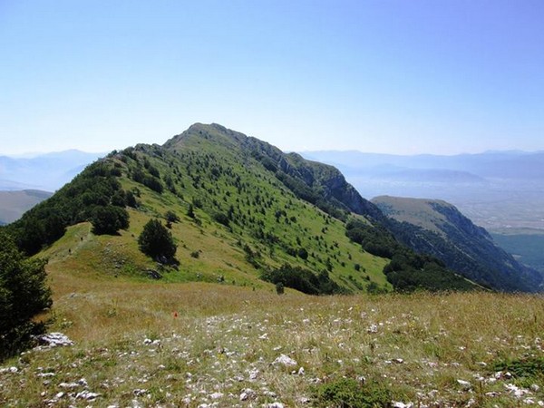Trail Serra di Celano (Crit. Trail) (28/07/2013) 061