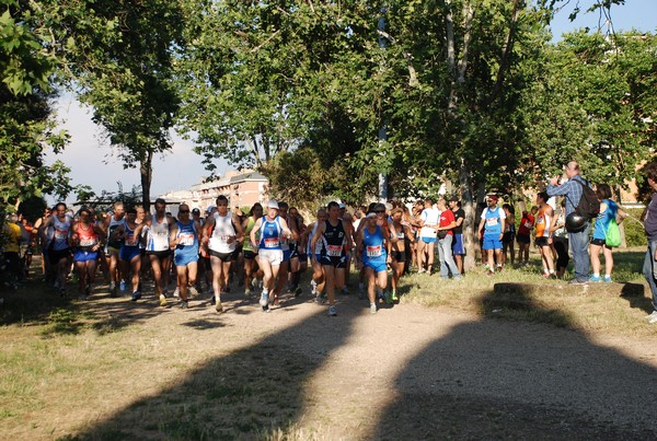 Solstizio d'estate (19/06/2013) 00003