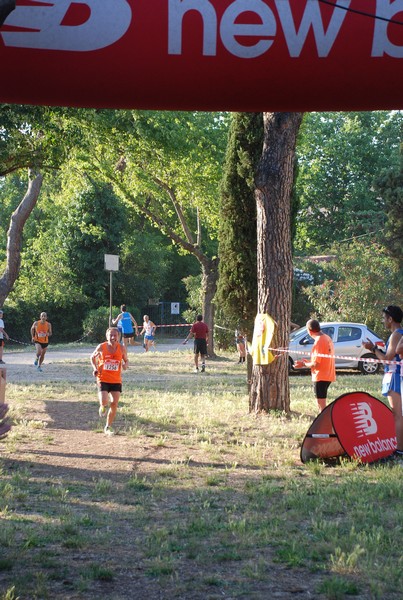 Solstizio d'estate (19/06/2013) 00050