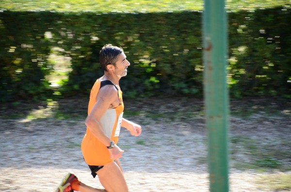 Maratona di Roma a Staffetta (19/10/2013) 00036